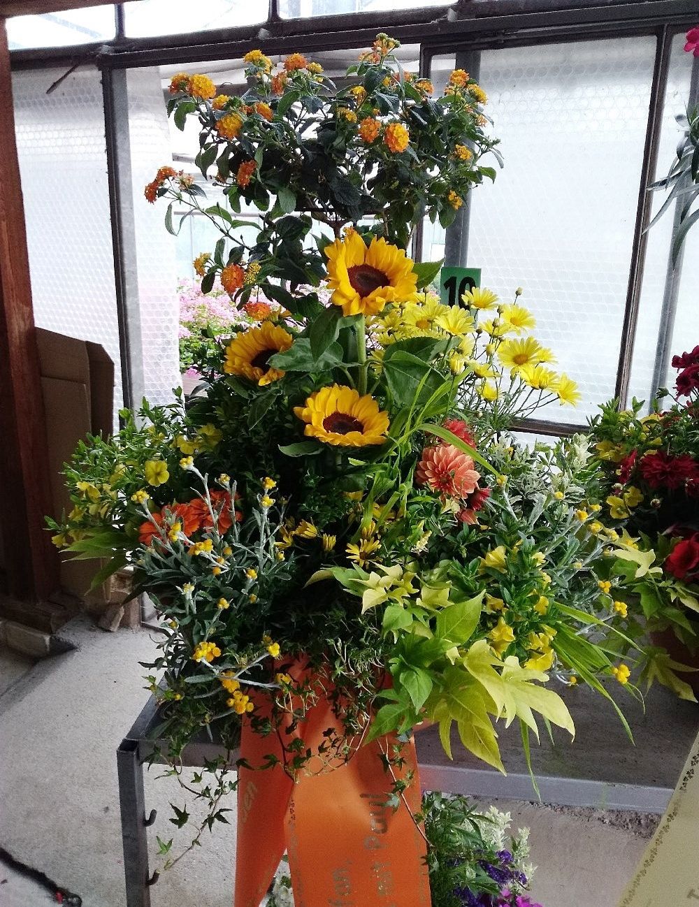 Florale Topfdekoration mit Sonnenblumen, Margeriten und bunten Blüten in einem Geschäft.